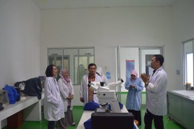 Road Map Penelitian Malaria Plasmodium Knowlesi